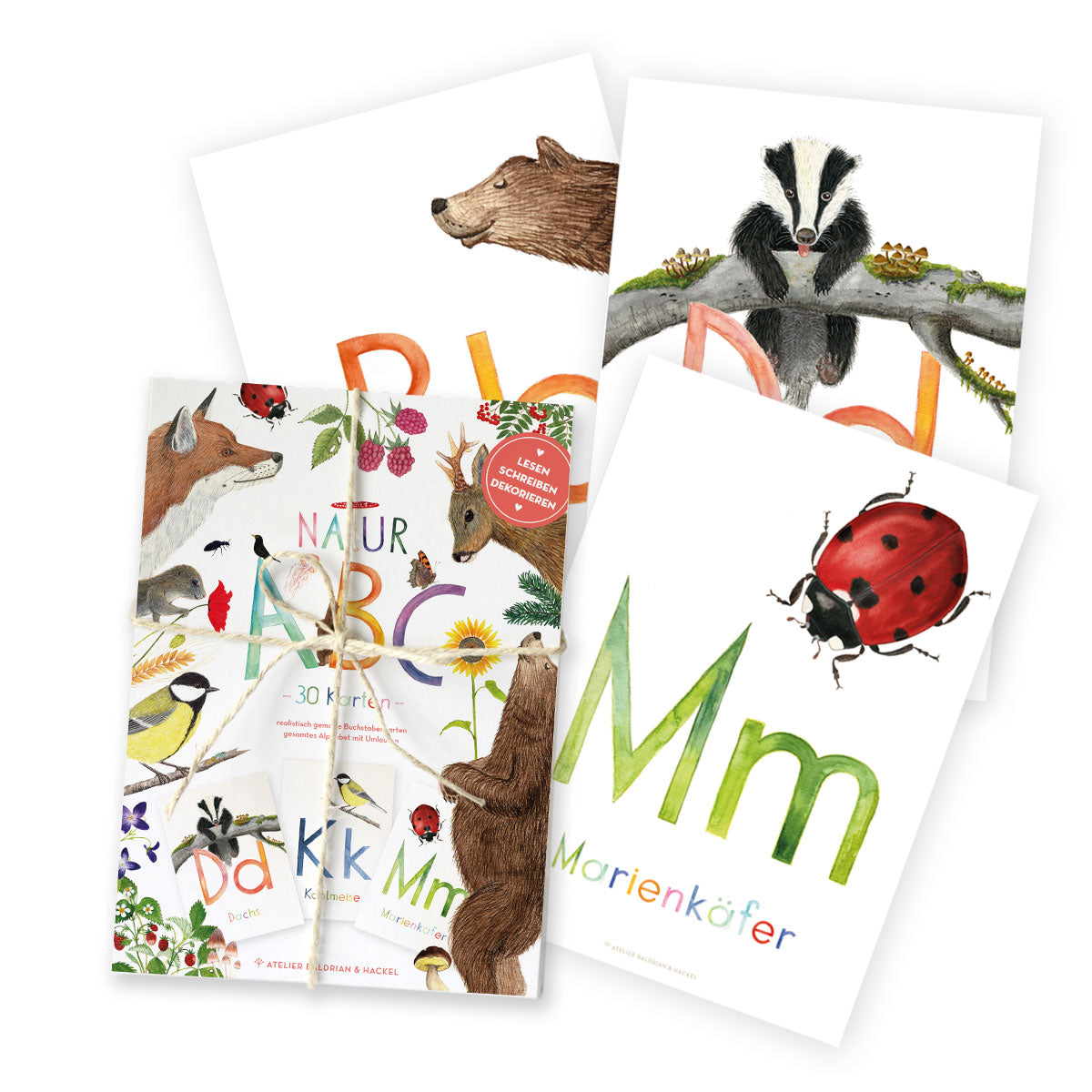 ABC-Karten Set „Natur“